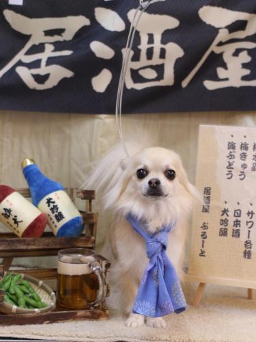 20240615とわくん